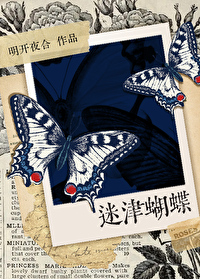 迷津蝴蝶笔趣阁全文免费阅读