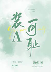 装a啥意思