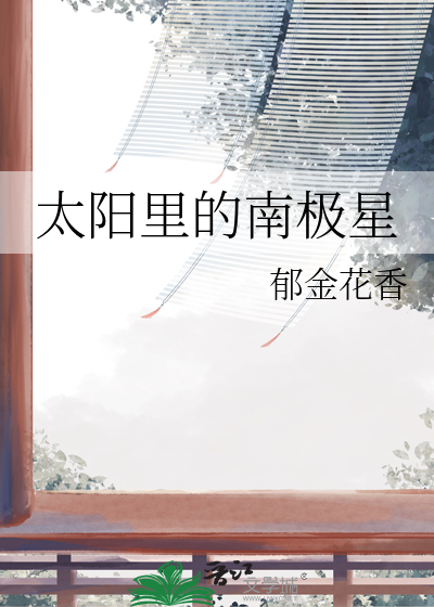 太阳里的南极星